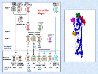 Variación
Mayor
 