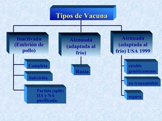 Tipos de Vacuna


 Inactivada                 Atenuada        Atenuada
(Embrión de               (adaptada al    (adaptada al
   pollo)                     frío)      frío) USA 1999

     Completa                                 estable
                             Rusia            genéticamente
     Subvirión
                                              no transmisible
        Partida (split)
        HA y NA                               segura
        purificada.
 