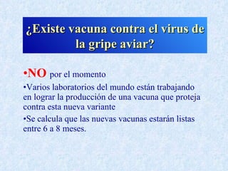¿Existe vacuna contra el virus de
         la gripe aviar?

•NO por el momento
•Varios laboratorios del mundo están trabajando
en lograr la producción de una vacuna que proteja
contra esta nueva variante
•Se calcula que las nuevas vacunas estarán listas
entre 6 a 8 meses.
 