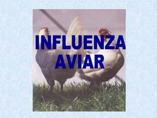 Infecciones virales