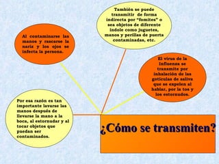 También se puede
                              transmitir de forma
                           indirecta por “fomites” o
                            sea objetos de diferente
                             índole como juguetes,
  Al contaminarse las      manos y perillas de puerta
  manos y rascarse la          contaminadas, etc.
  nariz y los ojos se
  infecta la persona.
                                                  El virus de la
                                                   Influenza se
                                                  transmite por
                                                inhalación de las
                                               gotículas de saliva
                                                que se expelen al
                                               hablar, por la tos y
                                                 los estornudos.
Por esa razón es tan
importante lavarse las
manos después de
llevarse la mano a la
boca, al estornudar y al
tocar objetos que
puedan ser                 ¿Cómo se transmiten?
contaminados.
 