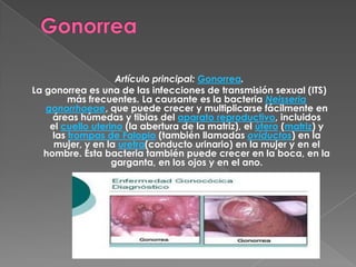 Artículo principal: Gonorrea.
La gonorrea es una de las infecciones de transmisión sexual (ITS)
        más frecuentes. La causante es la bacteria Neisseria
   gonorrhoeae, que puede crecer y multiplicarse fácilmente en
    áreas húmedas y tibias del aparato reproductivo, incluidos
    el cuello uterino (la abertura de la matriz), el útero (matriz) y
    las trompas de Falopio (también llamadas oviductos) en la
     mujer, y en la uretra(conducto urinario) en la mujer y en el
  hombre. Esta bacteria también puede crecer en la boca, en la
                   garganta, en los ojos y en el ano.
 
