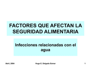 Abril, 2004 Hugo E. Delgado Súmar 1
FACTORES QUE AFECTAN LA
SEGURIDAD ALIMENTARIA
Infecciones relacionadas con el
agua
 