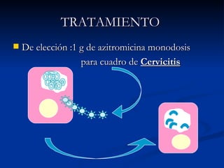 TRATAMIENTO  De elección :1 g de azitromicina monodosis para cuadro de  Cervicitis 