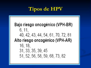 Tipos de HPV 