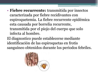 • Fiebre recurrente: transmitida por insectos
caracterizada por fiebre recidivantes con
espiroquetemia. La fiebre recurrente epidémica
esta causada por borrelia recurrente,
transmitida por el piojo del cuerpo que solo
infecta al hombre.
El diagnostico puede establecerse mediante
identificación de las espiroquetas en frotis
sanguíneo obtenidos durante los periodos febriles.
 
