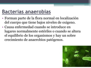 Bacterias anaerobias
• Forman parte de la flora normal en localización
del cuerpo que tiene bajos niveles de oxigeno.
• Causa enfermedad cuando se introduce en
lugares normalmente estériles o cuando se altera
el equilibrio de los organismos y hay un sobre
crecimiento de anaerobios patógenos.
 