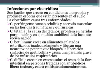 Infecciones por clostridios:
Son bacilos que crecen en condiciones anaerobias y
producen esporas que están presentes en el suelo.
La clostridium causa tres enfermedades:
C. perfringens: causan celulitis y necrosis muscular
en las heridas traumáticas y quirúrgicas.
C. tetania : la causa del tétanos, prolifera en heridas
por punción y en el muñón umbilical de la lactante
recién nacido.
C. botulinum: crece en alimentos enlatados
esterilizados inadecuadamente y liberan una
neurotoxina potente que bloquea la liberación
sináptica de acetilcolina y causa una paralisis grave
de los músculos respiratorios
C. difficile crecen en exceso sobre el resto de la flora
intestinal en personas tratadas con antibióticos,
libera toxinas y causa colitis seudomembranosa.
 