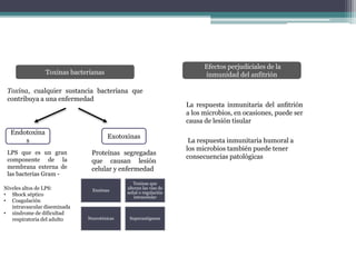 Toxinas bacterianas
Efectos perjudiciales de la
inmunidad del anfitrión
Toxina, cualquier sustancia bacteriana que
contribuya a una enfermedad
Endotoxina
s
Exotoxinas
LPS que es un gran
componente de la
membrana externa de
las bacterias Gram -
Niveles altos de LPS:
• Shock séptico
• Coagulación
intravascular diseminada
• síndrome de dificultad
respiratoria del adulto
Proteínas segregadas
que causan lesión
celular y enfermedad
Enzimas
Toxinas que
alteran las vías de
señal o regulación
intracelular
Neurotóxicas Superantigenos
La respuesta inmunitaria del anﬁtrión
a los microbios, en ocasiones, puede ser
causa de lesión tisular
La respuesta inmunitaria humoral a
los microbios también puede tener
consecuencias patológicas
 