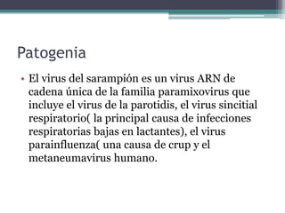 Patogenia
• El virus del sarampión es un virus ARN de
cadena única de la familia paramixovirus que
incluye el virus de la parotidis, el virus sincitial
respiratorio( la principal causa de infecciones
respiratorias bajas en lactantes), el virus
parainfluenza( una causa de crup y el
metaneumavirus humano.
 