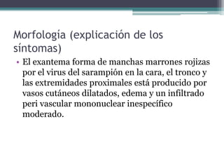 Morfología (explicación de los
síntomas)
• El exantema forma de manchas marrones rojizas
por el virus del sarampión en la cara, el tronco y
las extremidades proximales está producido por
vasos cutáneos dilatados, edema y un infiltrado
peri vascular mononuclear inespecífico
moderado.
 