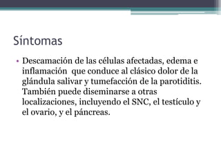Síntomas
• Descamación de las células afectadas, edema e
inflamación que conduce al clásico dolor de la
glándula salivar y tumefacción de la parotiditis.
También puede diseminarse a otras
localizaciones, incluyendo el SNC, el testículo y
el ovario, y el páncreas.
 