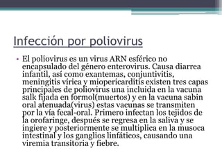 Infección por poliovirus
• El poliovirus es un virus ARN esférico no
encapsulado del género enterovirus. Causa diarrea
infantil, así como exantemas, conjuntivitis,
meningitis vírica y miopericarditis existen tres capas
principales de poliovirus una incluida en la vacuna
salk fijada en formol(muertos) y en la vacuna sabin
oral atenuada(virus) estas vacunas se transmiten
por la vía fecal-oral. Primero infectan los tejidos de
la orofaringe, después se regresa en la saliva y se
ingiere y posteriormente se multiplica en la musoca
intestinal y los ganglios linfáticos, causando una
viremia transitoria y fiebre.
 