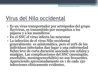 Virus del Nilo occidental
• Es un virus transportador por artrópodos del grupo
flavivirus, es transmitido por mosquitos a los
pájaros y a los mamíferos
• En el SNC el virus infecta las neuronas
• La infección de el virus Nilo occidental
generalmente es asintomática, pero el 20% de los
individuos infectados dan lugar a una enfermedad
fiebre leve de corta duración asociada con cefalea y
mialgias. Las complicaciones del SNC (meningitis,
encefalitis, meningoencefalitis) no son frecuentes.
Apareciendo aproximadamente en 1 de cada 150
infecciones clínicamente evidentes.
 
