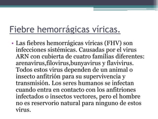 Fiebre hemorrágicas víricas.
• Las fiebres hemorrágicas víricas (FHV) son
infecciones sistémicas. Causadas por el virus
ARN con cubierta de cuatro familias diferentes:
arenavirus,filovirus,bunyavirus y flavivirus.
Todos estos virus dependen de un animal o
insecto anfitrión para su supervivencia y
transmisión. Los seres humanos se infectan
cuando entra en contacto con los anfitriones
infectados o insectos vectores, pero el hombre
no es reservorio natural para ninguno de estos
virus.
 