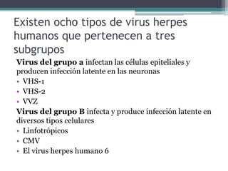 Existen ocho tipos de virus herpes
humanos que pertenecen a tres
subgrupos
Virus del grupo a infectan las células epiteliales y
producen infección latente en las neuronas
• VHS-1
• VHS-2
• VVZ
Virus del grupo B infecta y produce infección latente en
diversos tipos celulares
• Linfotrópicos
• CMV
• El virus herpes humano 6
 