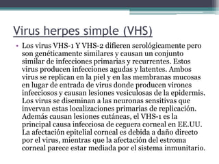 Virus herpes simple (VHS)
• Los virus VHS-1 Y VHS-2 difieren serológicamente pero
son genéticamente similares y causan un conjunto
similar de infecciones primarias y recurrentes. Estos
virus producen infecciones agudas y latentes. Ambos
virus se replican en la piel y en las membranas mucosas
en lugar de entrada de virus donde producen virones
infecciosos y causan lesiones vesiculosas de la epidermis.
Los virus se diseminan a las neuronas sensitivas que
invervan estas localizaciones primarias de replicación.
Además causan lesiones cutáneas, el VHS-1 es la
principal causa infecciosa de ceguera corneal en EE.UU.
La afectación epitelial corneal es debida a daño directo
por el virus, mientras que la afectación del estroma
corneal parece estar mediada por el sistema inmunitario.
 