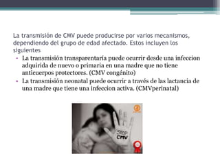 La transmisión de CMV puede producirse por varios mecanismos,
dependiendo del grupo de edad afectado. Estos incluyen los
siguientes
• La transmisión transparentaría puede ocurrir desde una infeccion
adquirida de nuevo o primaria en una madre que no tiene
anticuerpos protectores. (CMV congénito)
• La transmisión neonatal puede ocurrir a través de las lactancia de
una madre que tiene una infeccion activa. (CMVperinatal)
 