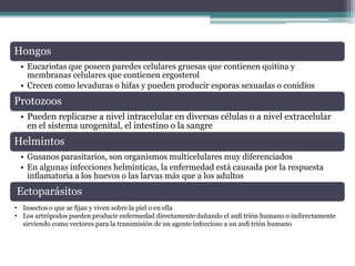 Hongos
• Eucariotas que poseen paredes celulares gruesas que contienen quitina y
membranas celulares que contienen ergosterol
• Crecen como levaduras o hifas y pueden producir esporas sexuadas o conidios
Protozoos
• Pueden replicarse a nivel intracelular en diversas células o a nivel extracelular
en el sistema urogenital, el intestino o la sangre
Helmintos
• Gusanos parasitarios, son organismos multicelulares muy diferenciados
• En algunas infecciones helmínticas, la enfermedad está causada por la respuesta
inﬂamatoria a los huevos o las larvas más que a los adultos
Ectoparásitos
• Insectos o que se ﬁjan y viven sobre la piel o en ella
• Los artrópodos pueden producir enfermedad directamente dañando el anﬁ trión humano o indirectamente
sirviendo como vectores para la transmisión de un agente infeccioso a un anﬁ trión humano
 