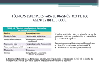 TÉCNICAS ESPECIALES PARA EL DIAGNÓSTICO DE LOS
AGENTES INFECCIOSOS
Independientemente de la técnica de tinción, los organismos se visualizan mejor en el frente de
avance de una lesión que en su centro, particularmente si existe necrosis
Pruebas rutinarias para el diagnóstico de la
gonorrea, infección por clamidia, la tuberculosis
y la encefalitis herpética:
las pruebas de ampliﬁcación de ácidos nucleicos
• Reacción en cadena de polimerasa (PCR)
• Ampliﬁcación mediada por transcripción
 