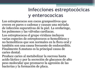 Infecciones estreptocócicas
y enterococicas
Los estreptococos son cocos granpositivos que
crecen en pares o cadenas y causan una miríada
de infección supurativas de la piel. La orofaringe,
los pulmones y las válvulas cardiacas.
Los estreptococos el grupo viridans incluyen
varias especies de estreptococos α-hemoliticos y
no hemolíticos que son normales en la flora oral y
también son una causa frecuente de endocarditis.
Finalmente S.mutans es la principal causa de
caries dental.
Produce caries al metabolizar la sucrosa hasta
acido láctico y por la secreción de glucanos de alto
peso molecular que promueve la agresión de las
bacterias y la formación de placa.
 