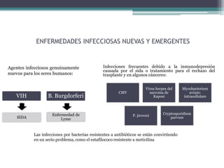 ENFERMEDADES INFECCIOSAS NUEVAS Y EMERGENTES
Infecciones frecuentes debido a la inmunodepresión
causada por el sida o tratamiento para el rechazo del
trasplante y en algunos cánceres:
VIH
SIDA
B. Burgdorferi
Enfermedad de
Lyme
Agentes infecciosos genuinamente
nuevos para los seres humanos:
Las infecciones por bacterias resistentes a antibióticos se están convirtiendo
en un serio problema, como el estafilococo resistente a meticilina
CMV
Virus herpes del
sarcoma de
Kaposi
Mycobacterium
avium-
intracellulare
P. jiroveci
Cryptosporidium
parvum
 