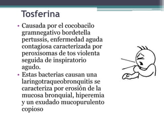 Tosferina
• Causada por el cocobacilo
gramnegativo bordetella
pertussis, enfermedad aguda
contagiosa caracterizada por
peroxisomas de tos violenta
seguida de inspiratorio
agudo.
• Estas bacterias causan una
laringotraqueobronquitis se
caracteriza por erosión de la
mucosa bronquial, hiperemia
y un exudado mucopurulento
copioso
 