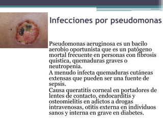 Infecciones por pseudomonas
Pseudomonas aeruginosa es un bacilo
aerobio oportunista que es un patógeno
mortal frecuente en personas con fibrosis
quística, quemaduras graves o
neutropenia.
A menudo infecta quemaduras cutáneas
extensas que pueden ser una fuente de
sepsis.
Causa queratitis corneal en portadores de
lentes de contacto, endocarditis y
osteomielitis en adictos a drogas
intravenosas, otitis externa en individuos
sanos y interna en grave en diabetes.
 
