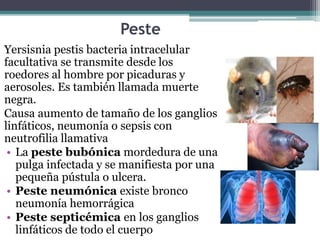 Peste
Yersisnia pestis bacteria intracelular
facultativa se transmite desde los
roedores al hombre por picaduras y
aerosoles. Es también llamada muerte
negra.
Causa aumento de tamaño de los ganglios
linfáticos, neumonía o sepsis con
neutrofilia llamativa
• La peste bubónica mordedura de una
pulga infectada y se manifiesta por una
pequeña pústula o ulcera.
• Peste neumónica existe bronco
neumonía hemorrágica
• Peste septicémica en los ganglios
linfáticos de todo el cuerpo
 