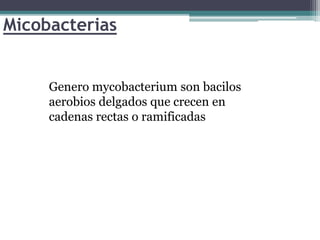 Micobacterias
Genero mycobacterium son bacilos
aerobios delgados que crecen en
cadenas rectas o ramificadas
 