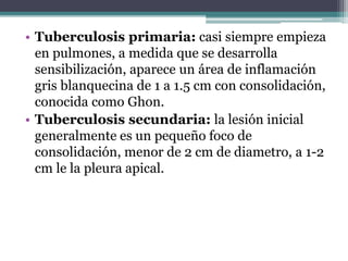• Tuberculosis primaria: casi siempre empieza
en pulmones, a medida que se desarrolla
sensibilización, aparece un área de inflamación
gris blanquecina de 1 a 1.5 cm con consolidación,
conocida como Ghon.
• Tuberculosis secundaria: la lesión inicial
generalmente es un pequeño foco de
consolidación, menor de 2 cm de diametro, a 1-2
cm le la pleura apical.
 
