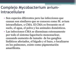 Complejo Mycobacterium avium-
intracellulare
• Son especies diferentes pero las infecciones que
causan son similares que se conocen como M. avium
intracellulare, o CMA. El CMA es frecuente en el
suelo, el agua, el polvo y los animales domésticos.
• Las infecciones CMA se diseminan extensamente
por todo el sistema fagocitario mononuclear,
causando aumento de tamaño de los ganglios
linfáticos afectados, el hígado y el bazo, o localizarse
en los pulmones, existe como pigmentación
amarillenta.
 