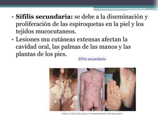 • Sífilis secundaria: se debe a la diseminación y
proliferación de las espiroquetas en la piel y los
tejidos mucocutaneos.
• Lesiones mu cutáneas extensas afectan la
cavidad oral, las palmas de las manos y las
plantas de los pies.
 