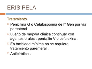 ERISIPELA
Tratamiento
 Penicilina G o Cefalosporina de I° Gen por vía
parenteral
 Luego de mejoría clínica continuar con
agentes orales : penicillin V o cefalexina .
 En toxicidad mínima no se requiere
tratamiento parenteral .
 Antipiréticos .
 