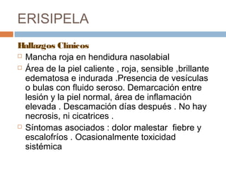 ERISIPELA
Hallazgos Clínicos
 Mancha roja en hendidura nasolabial
 Área de la piel caliente , roja, sensible ,brillante
edematosa e indurada .Presencia de vesículas
o bulas con fluido seroso. Demarcación entre
lesión y la piel normal, área de inflamación
elevada . Descamación días después . No hay
necrosis, ni cicatrices .
 Síntomas asociados : dolor malestar fiebre y
escalofríos . Ocasionalmente toxicidad
sistémica
 