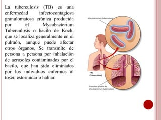 La tuberculosis (TB) es una
enfermedad infectocontagiosa
granulomatosa crónica producida
por el Mycobacterium
Tuberculosis o bacilo de Koch,
que se localiza generalmente en el
pulmón, aunque puede afectar
otros órganos. Se transmite de
persona a persona por inhalación
de aerosoles contaminados por el
bacilo, que han sido eliminados
por los individuos enfermos al
toser, estornudar o hablar.
 