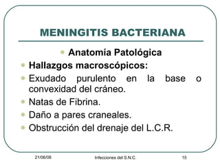   MENINGITIS BACTERIANA Anatomía Patológica Hallazgos macroscópicos: Exudado purulento en la base o convexidad del cráneo. Natas de Fibrina. Daño a pares craneales. Obstrucción del drenaje del L.C.R.  