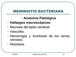 MENINGITIS BACTERIANA Anatomía Patológica Hallazgos macroscópicos: Necrosis del tejido cerebral. Vasculitis. Hemorragia y trombosis de los senos venosos. Abscesos. 