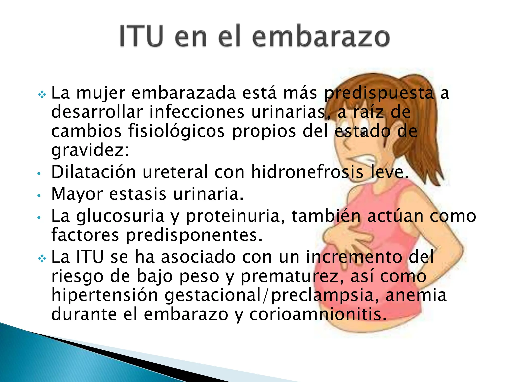 Infecciones Del Tracto Urinario Unides Ppt