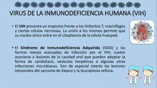 VIRUS DE LA INMUNODEFICIENCIA HUMANA (VIH)
• El VIH presenta un tropismo frente a los linfocitos T, macrófagos
y ciertas células nerviosas. La unión a los mismos permite que
su núcleo vírico entre en el citoplasma de la célula huésped.
• El Síndrome de Inmunodeficiencia Adquirida (SIDA) y las
formas menos avanzadas de infección por el VIH, suelen
asociarse a lesiones de la cavidad oral que pueden adoptar la
forma de candidiasis, vesículas herpéticas o algunas otras
infecciones microbianas. Son de especial interés las lesiones
intraorales del sarcoma de Kaposi y la leucoplasia vellosa.
 