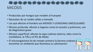 MICOSIS
• Producidas por hongos que invaden al huesped
• Necesitan de un medio cálido y húmedo
• Los que afectan al hombre son MOHOS Y LEVADURAS UNICELULARES
• Micosis profunda: afectan a órganos como el corazón y pulmones, son
de diagnostico grave
• Micosis superficial: afectan la capa cutánea externa, tales como la
Candidiasis, la Tiña y el Pie de Atleta
• El microorganismo ha de romper primero la barrera cutánea y
encontrar un ambiente que favorezca su colonizacion
 