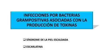 INFECCIONES POR BACTERIAS
GRAMPOSITIVAS ASOCIADAS CON LA
PRODUCCIÓN DE TOXINAS
 SÍNDROME DE LA PIEL ESCALDADA
 ESCARLATINA
 