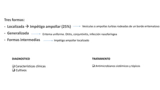 Tres formas:
- Localizada  Impétigo ampollar (25%)
- Generalizada
- Formas intermedias
Vesículas o ampollas turbias rodeadas de un borde eritematoso
Eritema uniforme. Otitis, conjuntivitis, infección nasofaríngea
Impétigo ampollar localizado
DIAGNOSTICO
 Características clínicas
 Cultivos
TRATAMIENTO
 Antimicrobianos sistémicos y tópicos
 