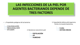 LAS INFECCIONES DE LA PIEL POR
AGENTES BACTERIANOS DEPENDE DE
TRES FACTORES
• 1. Propiedades patógenas de las bacterias
COLONIZACIÓN
PROLIFERACIÓN
INVASIÓN 2. Resistencia natural de la piel
3. Capacidad de defensa del organismo
frente a la invasión bacteriana.
EXFOLIACIÓN
pH
HUMEDAD
FLORA
SISTEMA INMUNE
 