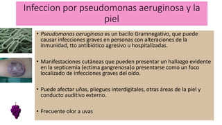 Infeccion por pseudomonas aeruginosa y la
piel
• Pseudomonas aeruginosa es un bacilo Gramnegativo, que puede
causar infecciones graves en personas con alteraciones de la
inmunidad, tto antibiótico agresivo u hospitalizadas.
• Manifestaciones cutáneas que pueden presentar un hallazgo evidente
en la septicemia (ectima gangrenosa)o presentarse como un foco
localizado de infecciones graves del oído.
• Puede afectar uñas, pliegues interdigitales, otras áreas de la piel y
conducto auditivo externo.
• Frecuente olor a uvas
 