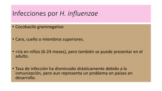 Infecciones por H. influenzae
• Cocobacilo gramnegativo
• Cara, cuello o miembros superiores.
• <ría en niños (6-24 meses), pero también se puede presentar en el
adulto.
• Tasa de infección ha disminuido drásticamente debido a la
inmunización, pero aun representa un problema en países en
desarrollo.
 