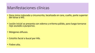 Manifestaciones clínicas
• Zona única indurada y circunscrita, localizada en cara, cuello, parte superior
del tórax o MS.
• Lesión inicial se presenta con edema y eritema pálido, para luego tornarse
rojo azulado a purpúrico.
• Márgenes difusos.
• Celulitis facial o bucal por Hib.
• Fiebre alta.
 
