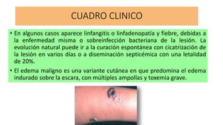 CUADRO CLINICO
• En algunos casos aparece linfangitis o linfadenopatía y fiebre, debidas a
la enfermedad misma o sobreinfección bacteriana de la lesión. La
evolución natural puede ir a la curación espontánea con cicatrización de
la lesión en varios días o a diseminación septicémica con una letalidad
de 20%.
• El edema maligno es una variante cutánea en que predomina el edema
indurado sobre la escara, con múltiples ampollas y toxemia grave.
 