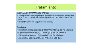 Tratamiento
ESQUEMA DE TRATAMIENTO BASICO:
• Todo paciente con diagnóstico probable o conﬁrmado a carbunco
se le proporcionará tratamiento gratuito y controlado hasta su
alta.
• Iniciar tratamiento según cuadro clínico.
En adultos
• Bencilpenicilina procaínica, 1’000,000 UI/d (IM), de 7 a 10 dias ó
• Ciproﬂoxacino 500 mg. c/12 horas (VO), de 7 a 10 días ó
• Eritromicina 500 mg. c/6 horas (VO), de 7 a 10 días ó
• Amoxicilina 500 mg. c/8 horas (VO), de 7 a 10 días.
 