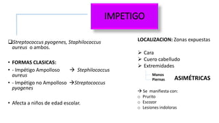IMPETIGO
Streptococcus pyogenes, Staphilococcus
aureus o ambos.
• FORMAS CLASICAS:
• - Impétigo Ampolloso  Stephilococcus
aureus
• - Impétigo no Ampolloso Streptococcus
pyogenes
• Afecta a niños de edad escolar.
ASIMÉTRICAS
LOCALIZACION: Zonas expuestas
 Cara
 Cuero cabelludo
 Extremidades
Manos
Piernas
 Se manifiesta con:
o Prurito
o Escozor
o Lesiones indoloras
 
